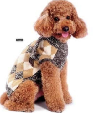 DOGO Argyle Scarf Sweater